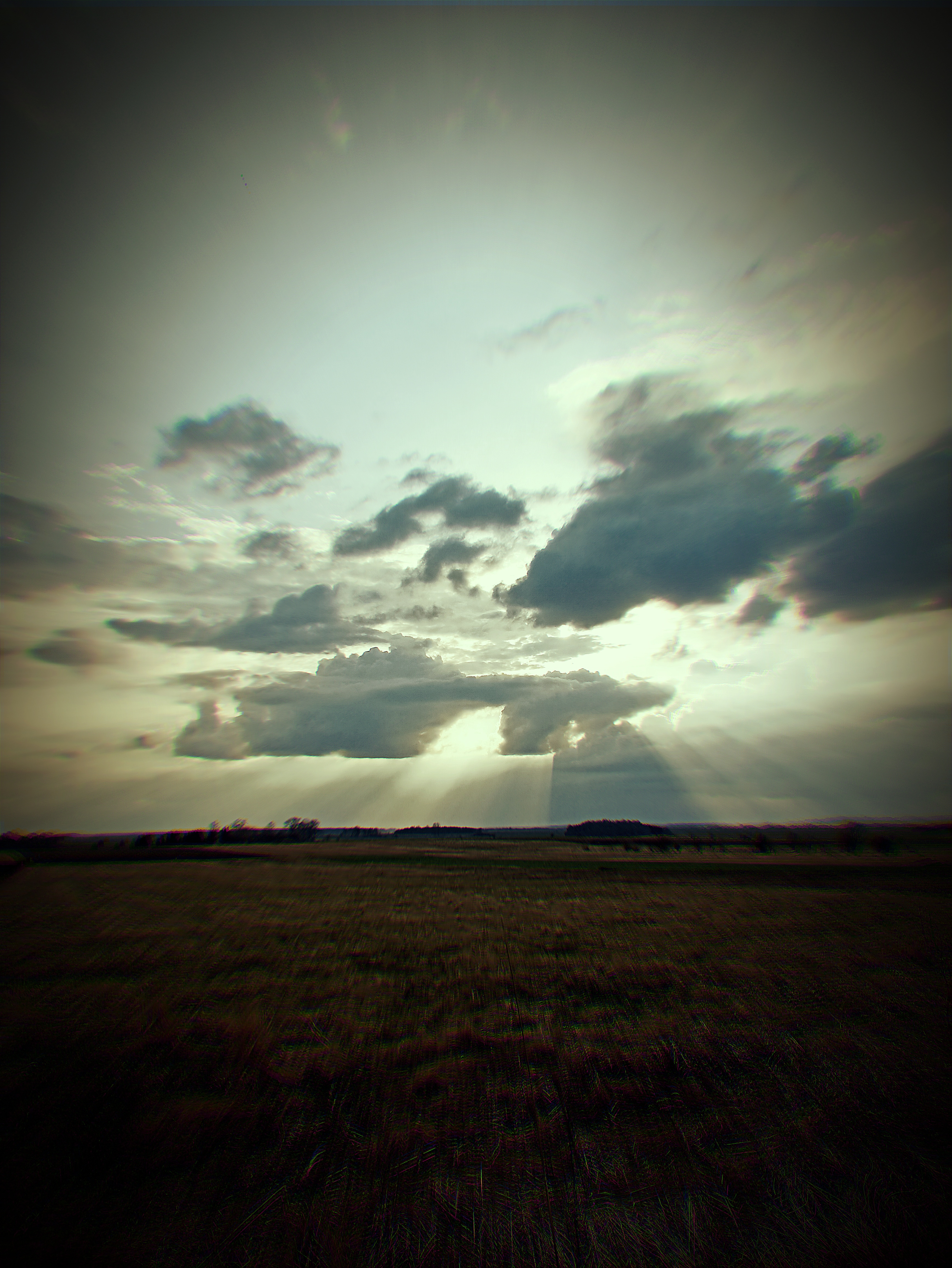 Sunlit Horizon